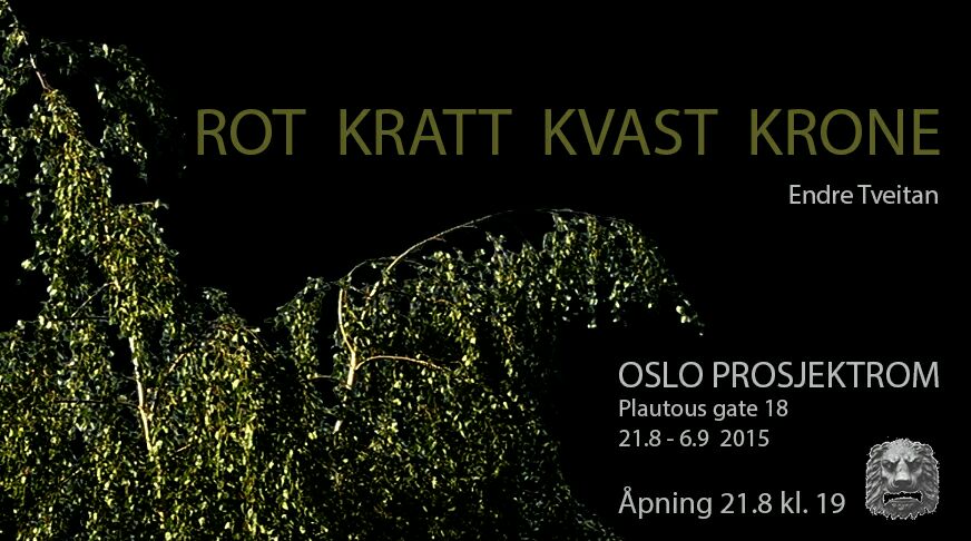 Exhibition: Rot kratt kvast krone (2015)